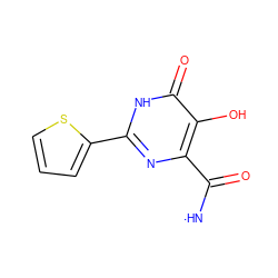 [NH]C(=O)c1nc(-c2cccs2)[nH]c(=O)c1O ZINC000028644778