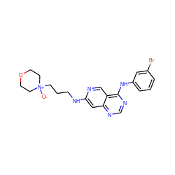 [O-][N+]1(CCCNc2cc3ncnc(Nc4cccc(Br)c4)c3cn2)CCOCC1 ZINC000021289110