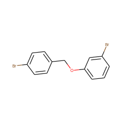 Brc1ccc(COc2cccc(Br)c2)cc1 ZINC000021030452