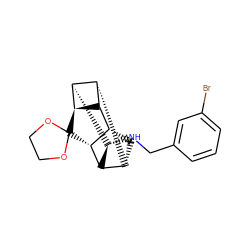 Brc1cccc(CN[C@@H]2[C@@H]3[C@H]4C[C@H]5[C@@H]6[C@@H]4[C@@H]2[C@@H]6C2(OCCO2)[C@H]53)c1 ZINC000261180675