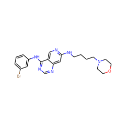 Brc1cccc(Nc2ncnc3cc(NCCCCN4CCOCC4)ncc23)c1 ZINC000021289279