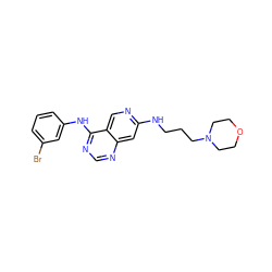 Brc1cccc(Nc2ncnc3cc(NCCCN4CCOCC4)ncc23)c1 ZINC000021289189