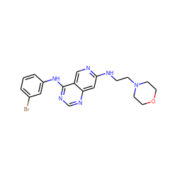 Brc1cccc(Nc2ncnc3cc(NCCN4CCOCC4)ncc23)c1 ZINC000021289232