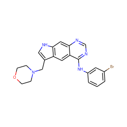 Brc1cccc(Nc2ncnc3cc4[nH]cc(CN5CCOCC5)c4cc23)c1 ZINC000021289260