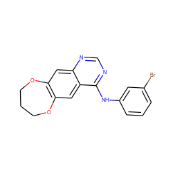 Brc1cccc(Nc2ncnc3cc4c(cc23)OCCCO4)c1 ZINC000038411397