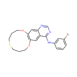 Brc1cccc(Nc2ncnc3cc4c(cc23)OCCCSCCCO4)c1 ZINC000038460817