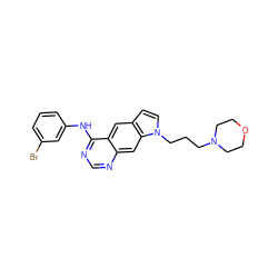 Brc1cccc(Nc2ncnc3cc4c(ccn4CCCN4CCOCC4)cc23)c1 ZINC000021289313