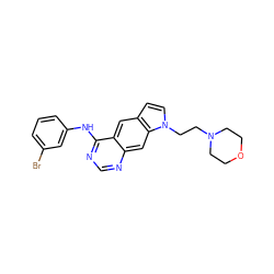 Brc1cccc(Nc2ncnc3cc4c(ccn4CCN4CCOCC4)cc23)c1 ZINC000021289242