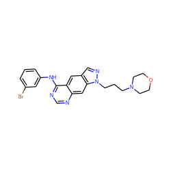 Brc1cccc(Nc2ncnc3cc4c(cnn4CCCN4CCOCC4)cc23)c1 ZINC000029323906