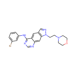 Brc1cccc(Nc2ncnc3cc4c(cnn4CCN4CCOCC4)cc23)c1 ZINC000021289239