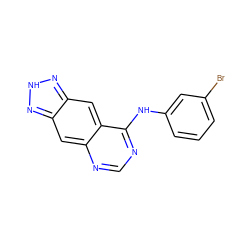 Brc1cccc(Nc2ncnc3cc4n[nH]nc4cc23)c1 ZINC000021289249