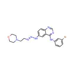 Brc1cccc(Nc2ncnc3ccc(N/N=N/CCN4CCOCC4)cc23)c1 ZINC000013527520