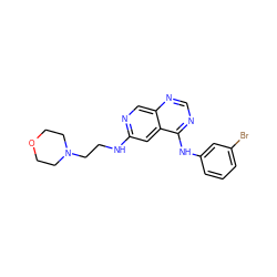 Brc1cccc(Nc2ncnc3cnc(NCCN4CCOCC4)cc23)c1 ZINC000021289107