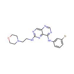 Brc1cccc(Nc2ncnc3cnc(NCCN4CCOCC4)nc23)c1 ZINC000021289117