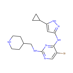 Brc1cnc(NCC2CCNCC2)nc1Nc1cc(C2CC2)[nH]n1 ZINC000203008695