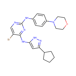 Brc1cnc(Nc2ccc(N3CCOCC3)cc2)nc1Nc1cc(C2CCCC2)n[nH]1 ZINC000035922299