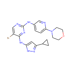 Brc1cnc(Nc2ccc(N3CCOCC3)nc2)nc1Nc1cc(C2CC2)n[nH]1 ZINC000035921216