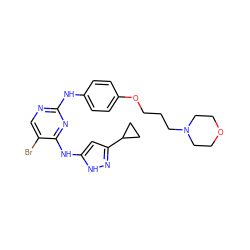 Brc1cnc(Nc2ccc(OCCCN3CCOCC3)cc2)nc1Nc1cc(C2CC2)n[nH]1 ZINC000035923235