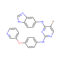 Brc1cnc(Nc2ccc(Oc3cccnc3)cc2)nc1Nc1ccc2[nH]cnc2c1 ZINC000028523911