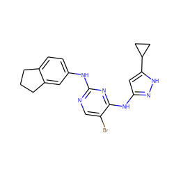 Brc1cnc(Nc2ccc3c(c2)CCC3)nc1Nc1cc(C2CC2)[nH]n1 ZINC000203003497