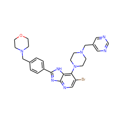 Brc1cnc2nc(-c3ccc(CN4CCOCC4)cc3)[nH]c2c1N1CCN(Cc2cncnc2)CC1 ZINC000043170397