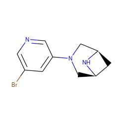 Brc1cncc(N2C[C@@H]3C[C@H](C2)N3)c1 ZINC000473151577