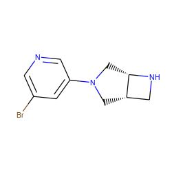 Brc1cncc(N2C[C@H]3CN[C@H]3C2)c1 ZINC000028866011