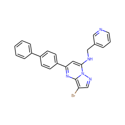 Brc1cnn2c(NCc3cccnc3)cc(-c3ccc(-c4ccccc4)cc3)nc12 ZINC001772641997