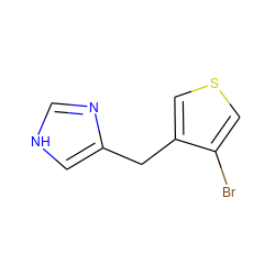 Brc1cscc1Cc1c[nH]cn1 ZINC000000008936