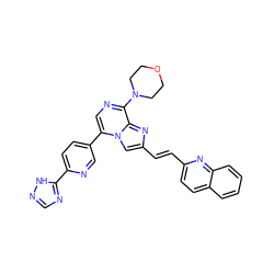 C(=C/c1cn2c(-c3ccc(-c4ncn[nH]4)nc3)cnc(N3CCOCC3)c2n1)\c1ccc2ccccc2n1 ZINC000222044521