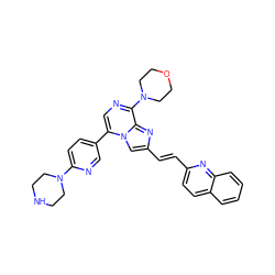 C(=C/c1cn2c(-c3ccc(N4CCNCC4)nc3)cnc(N3CCOCC3)c2n1)\c1ccc2ccccc2n1 ZINC000222033039