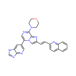 C(=C/c1cn2c(-c3cnc4nc[nH]c4c3)cnc(N3CCOCC3)c2n1)\c1ccc2ccccc2n1 ZINC000222044693