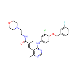 C/C(=C\c1c(C)ncnc1Nc1ccc(OCc2cccc(F)c2)c(Cl)c1)C(=O)NCCN1CCOCC1 ZINC000066138425