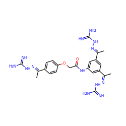 C/C(=N/NC(=N)N)c1cc(NC(=O)COc2ccc(/C(C)=N/NC(=N)N)cc2)cc(/C(C)=N/NC(=N)N)c1 ZINC000066258859