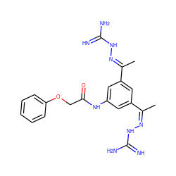 C/C(=N/NC(=N)N)c1cc(NC(=O)COc2ccccc2)cc(/C(C)=N/NC(=N)N)c1 ZINC000066258611