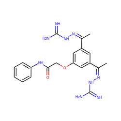 C/C(=N/NC(=N)N)c1cc(OCC(=O)Nc2ccccc2)cc(/C(C)=N\NC(=N)N)c1 ZINC000066258670