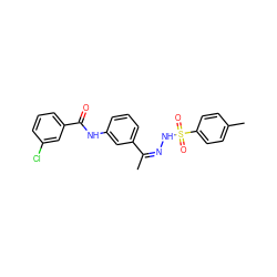 C/C(=N/NS(=O)(=O)c1ccc(C)cc1)c1cccc(NC(=O)c2cccc(Cl)c2)c1 ZINC000013108676