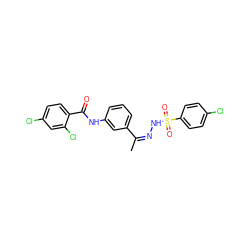 C/C(=N/NS(=O)(=O)c1ccc(Cl)cc1)c1cccc(NC(=O)c2ccc(Cl)cc2Cl)c1 ZINC000008398845