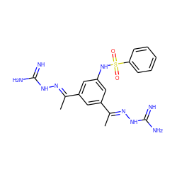 C/C(=N\NC(=N)N)c1cc(NS(=O)(=O)c2ccccc2)cc(/C(C)=N/NC(=N)N)c1 ZINC000066258510