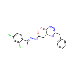 C/C(=N\NC(=O)C[C@H]1NC(Cc2ccccc2)=NNC1=O)c1ccc(Cl)cc1Cl ZINC000008934214