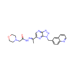 C/C(=N\NC(=O)CN1CCOCC1)c1cnc2nnn(Cc3ccc4ncccc4c3)c2n1 ZINC000096169164