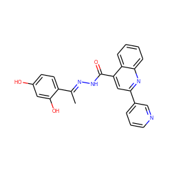 C/C(=N\NC(=O)c1cc(-c2cccnc2)nc2ccccc12)c1ccc(O)cc1O ZINC000101744745