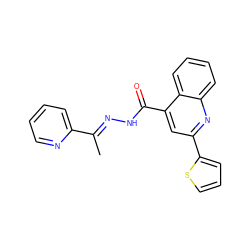 C/C(=N\NC(=O)c1cc(-c2cccs2)nc2ccccc12)c1ccccn1 ZINC000004964535