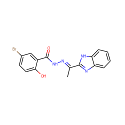 C/C(=N\NC(=O)c1cc(Br)ccc1O)c1nc2ccccc2[nH]1 ZINC000095101421