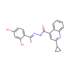 C/C(=N\NC(=O)c1cc(C2CC2)nc2ccccc12)c1ccc(O)cc1O ZINC000100661653