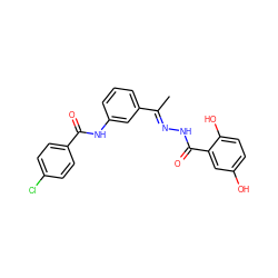 C/C(=N\NC(=O)c1cc(O)ccc1O)c1cccc(NC(=O)c2ccc(Cl)cc2)c1 ZINC000015934176