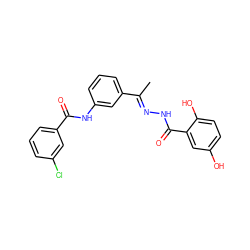 C/C(=N\NC(=O)c1cc(O)ccc1O)c1cccc(NC(=O)c2cccc(Cl)c2)c1 ZINC000015934178