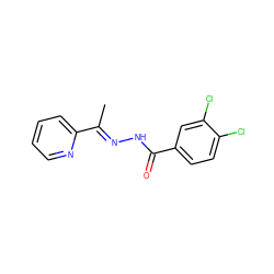 C/C(=N\NC(=O)c1ccc(Cl)c(Cl)c1)c1ccccn1 ZINC000005009963