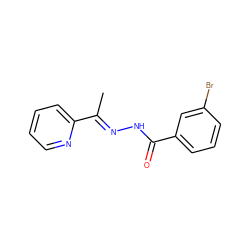 C/C(=N\NC(=O)c1cccc(Br)c1)c1ccccn1 ZINC000005010119