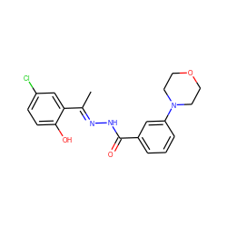 C/C(=N\NC(=O)c1cccc(N2CCOCC2)c1)c1cc(Cl)ccc1O ZINC000145492258